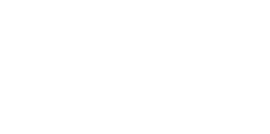 Fyzon